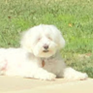 Meet your Posher, Yep